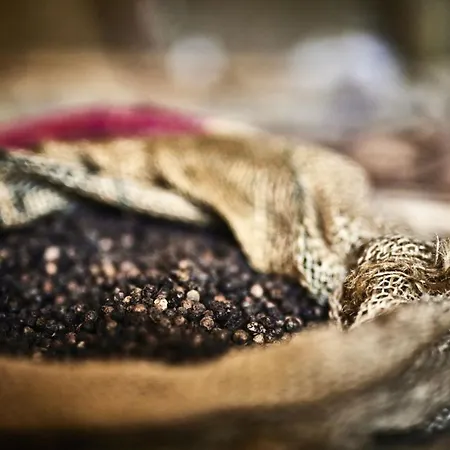 Matamba, Phantasialand Erlebnishotel Hotel