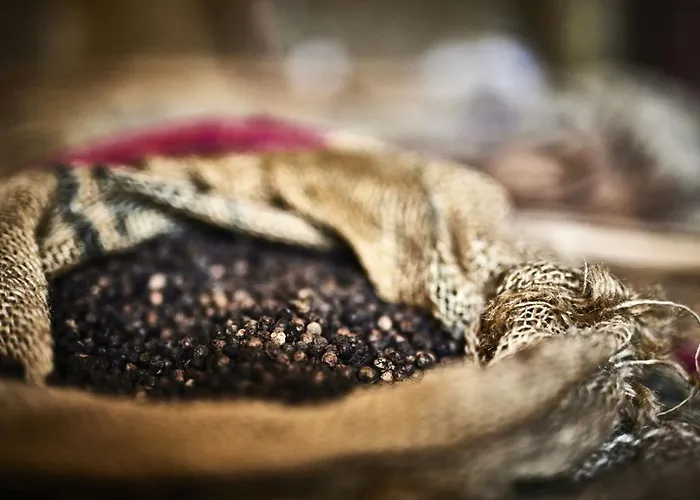 Matamba, Phantasialand Erlebnishotel Hotel